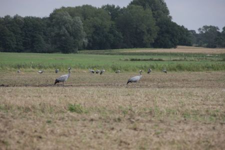11.09.2017: Rügen