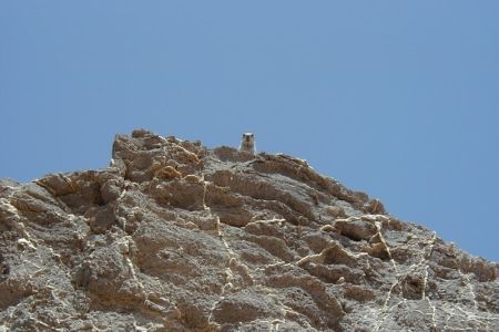 13.08.2001: Fuerteventura