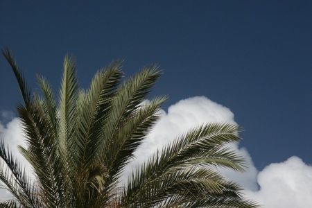 15.06.2009: Teneriffa
