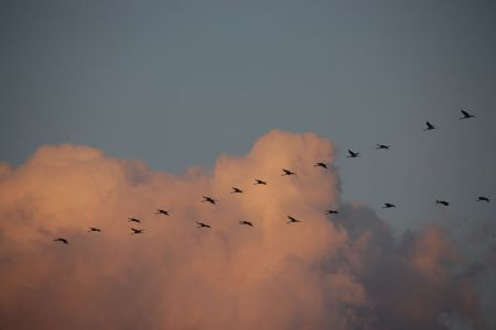 16.09.2017: Rügen