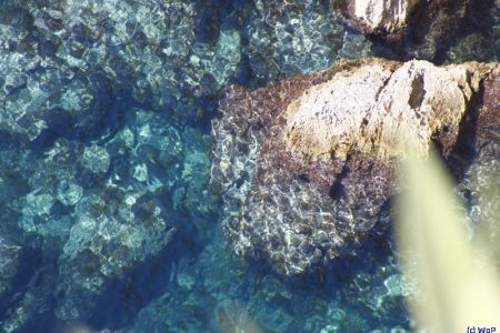 18.09.2011: Malta