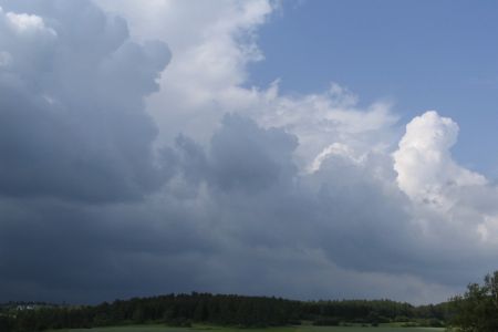 19.06.2006: Eifel