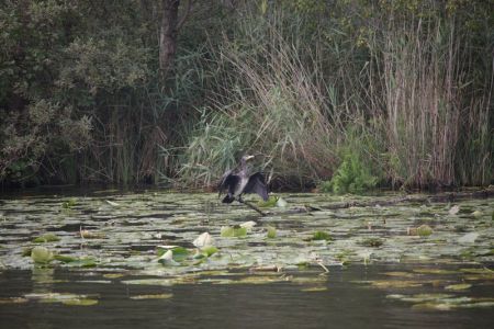 20.09.2017: Mecklenburger Seenplatte