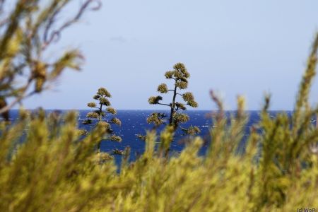 21.09.2011: Malta