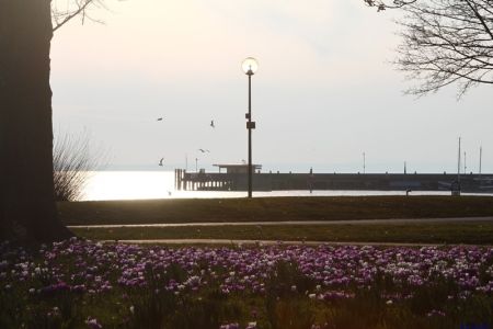 22.03.2013: Langenargen