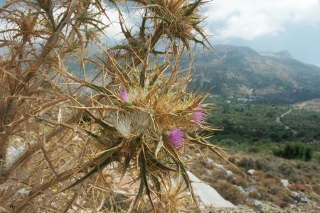 22.08.2003: Kreta