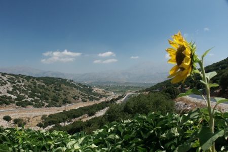 22.08.2003: Kreta