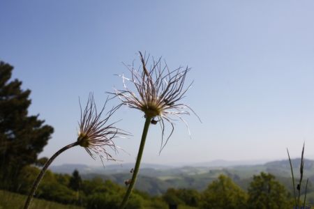23.05.2010: Lorbach