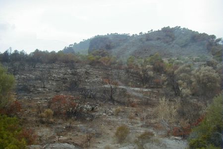23.08.2002: Mallorca