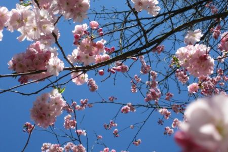 25.03.2012: Leverkusen