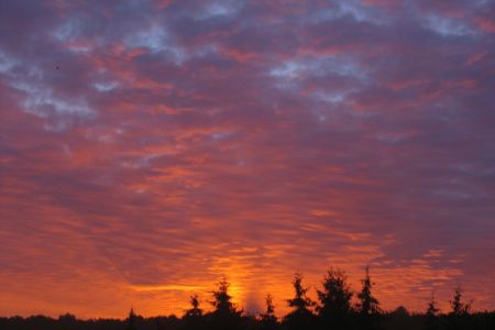 25.10.2006: Eifel