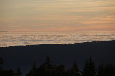 26.12.2018: Schwarzwald