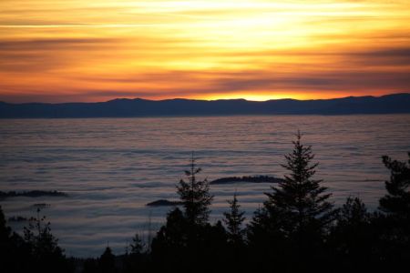 26.12.2018: Schwarzwald