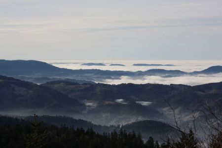 27.12.2018: Schwarzwald