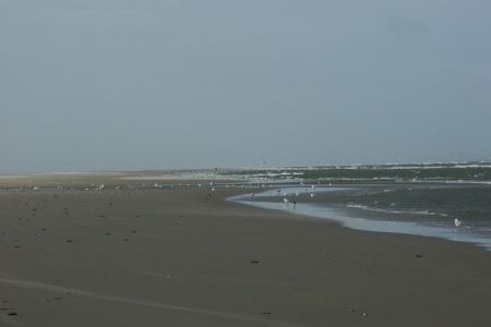 28.02.2007: Borkum