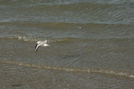 28.02.2007: Borkum