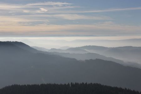 28.12.2018: Schwarzwald