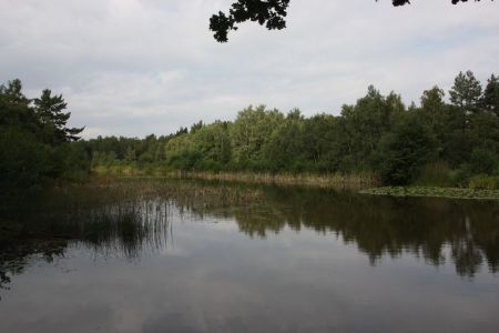 29.08.2015: Schaven