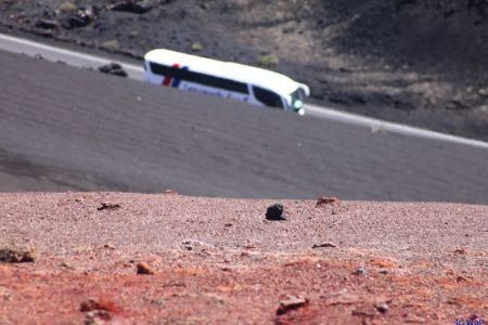 29.09.2012: Lanzarote