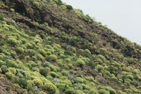 31.03.2005: Gran Canaria