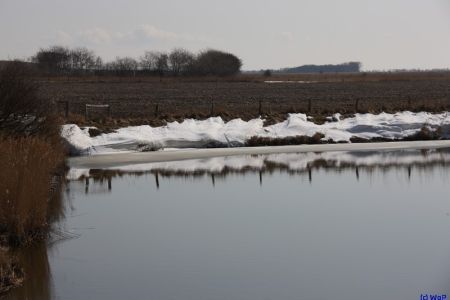 31.03.2013: Föhr